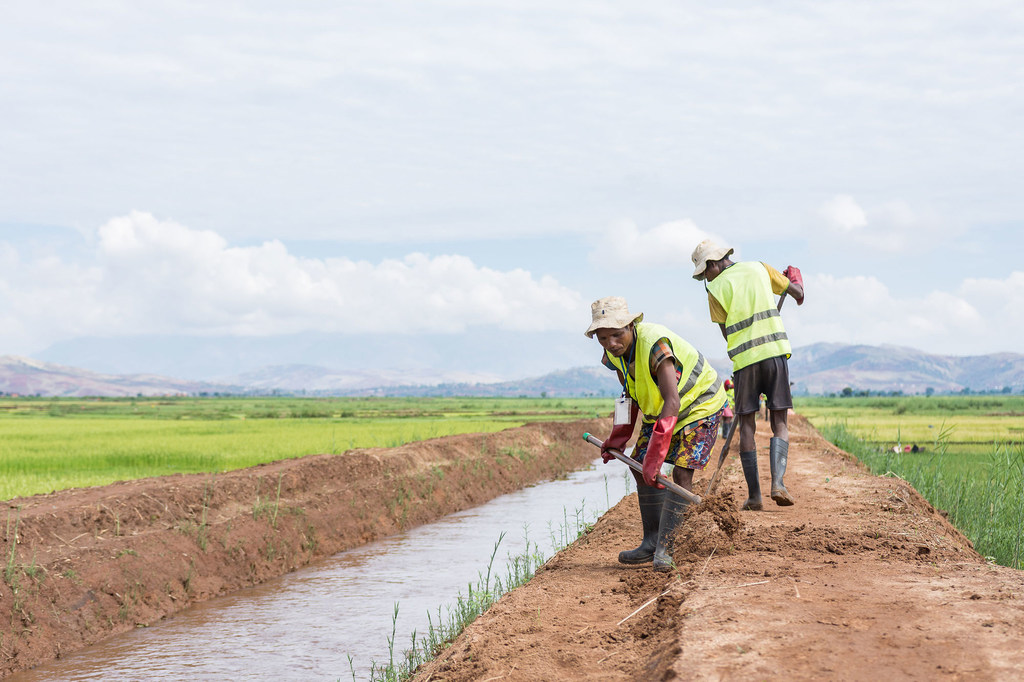 media:entermedia_image:e6e7c493-36f7-46e5-a5ad-837d812fbe51