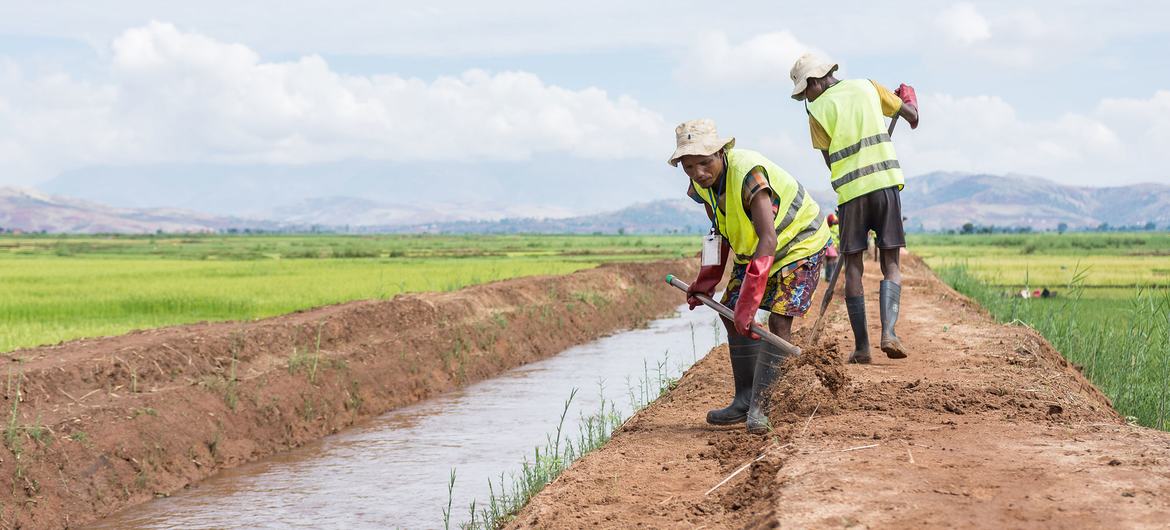 Men work on the Ambondromisotra drain in Madagascar.