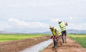 Men work on the Ambondromisotra drain in Madagascar.