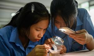 UNICEF is working on expanding STEM education for girls in rural areas.