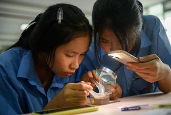 UNICEF is working on expanding STEM education for girls in rural areas.