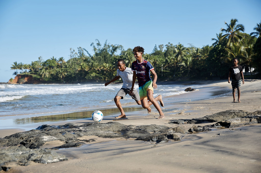 media:entermedia_image:0db631be-bc76-43b0-a6f1-69cf67f9c306