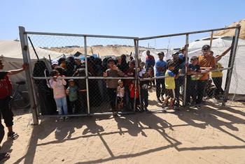 Un groupe d'enfants et d'adultes palestiniens se tient derrière une clôture en maillons dans un point de dépistage nutritionnel soutenu par l'UNICEF à Khan Yunis, dans le sud de la bande de Gaza.