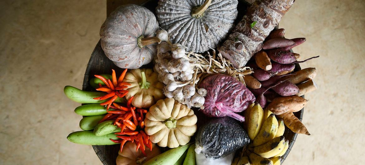 Корзина, наполненная разнообразными свежими овощами и фруктами, включая тыквы, сладкий картофель, бананы и перец чили, выставлена ​​в Школе питания для фермеров в деревне Хуайжай, район Ла, Лаос.