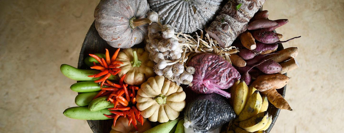 Un panier rempli d'une variété de légumes et de fruits frais, notamment des courges, des patates douces, des bananes et des piments, exposé à l'école de nutrition agricole du village de Houayjay, district de La, au Laos.