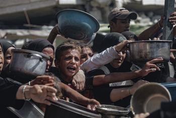 Malnutrition rates have been steadily increasing in Gaza since March 2025.