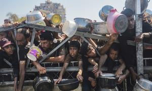 Children trying to get food from aid distribution centers in Gaza.