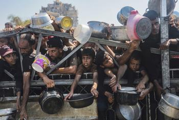 Children trying to get food from aid distribution centers in Gaza.