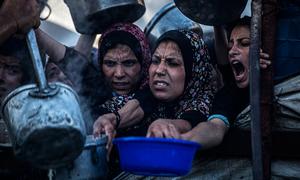 Women in Gaza desperately seek food.