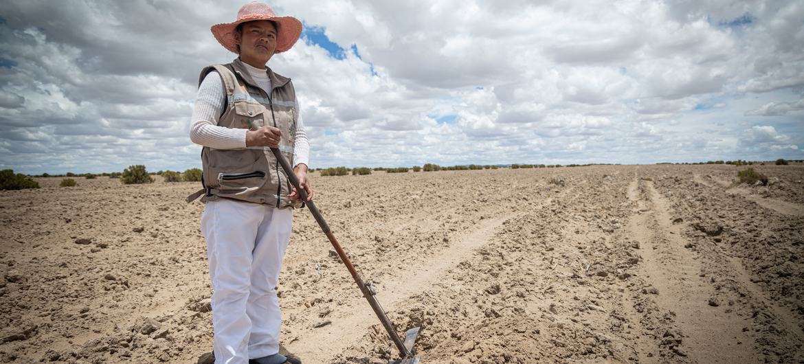 A woman in Bolivia prepares her land for growing crops.