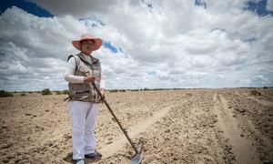 Una mujer en Bolivia prepara su tierra para cultivar.