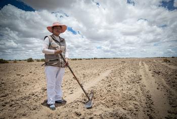 A woman in Bolivia prepares her land for growing crops.