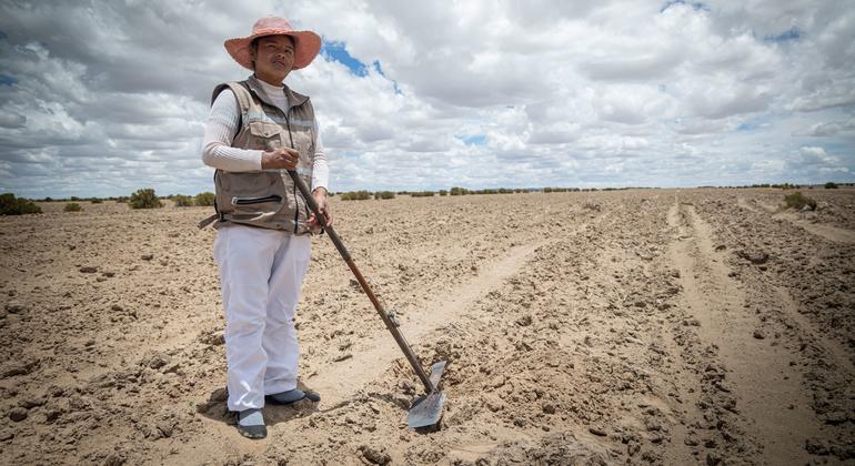 FAO warns of ‘silent crisis’ as land degradation threatens billions – UN News