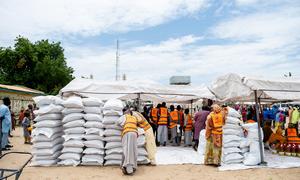 Bags of grains are distributed by WFP in Mafa, in Borno State, Nigeria.