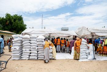 Bags of grains are distributed by WFP in Mafa, in Borno State, Nigeria.