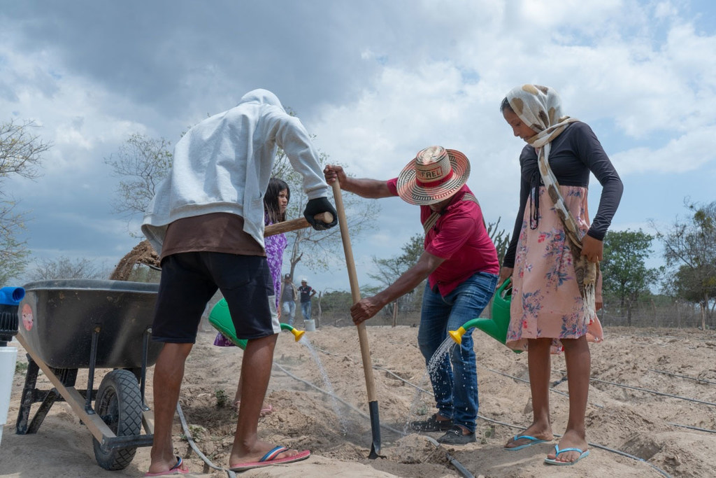 Miembros del pueblo indígena Wayúu de Ipanamá, Colombia, siembran semillas en el polvoriento terreno desértico.