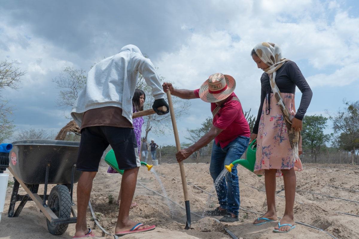 Calor mortal: Relatório aponta alta vulnerabilidade de trabalhadores na Colômbia