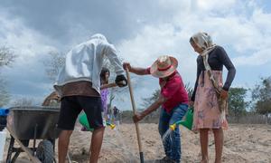 Miembros del pueblo indígena Wayúu de Ipanamá, Colombia, siembran semillas en el polvoriento terreno desértico.