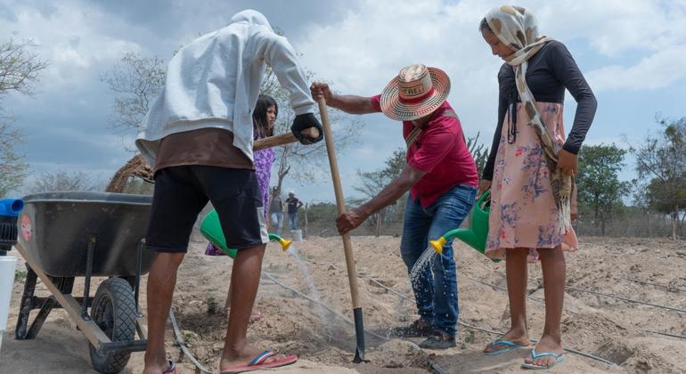 Les catastrophes ont coûté plus de 3 000 milliards de dollars à l’agriculture en 30 ans