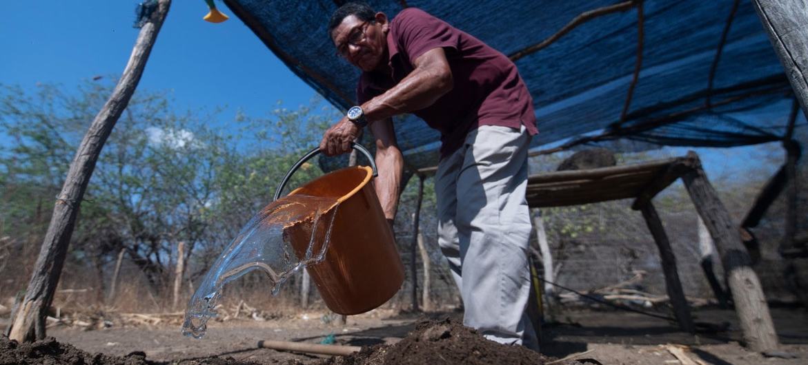 Manuel Montiel mezcla un fertilizante natural elaborado con estiércol de cabra en el pueblo de Ipasharrain, Colombia.