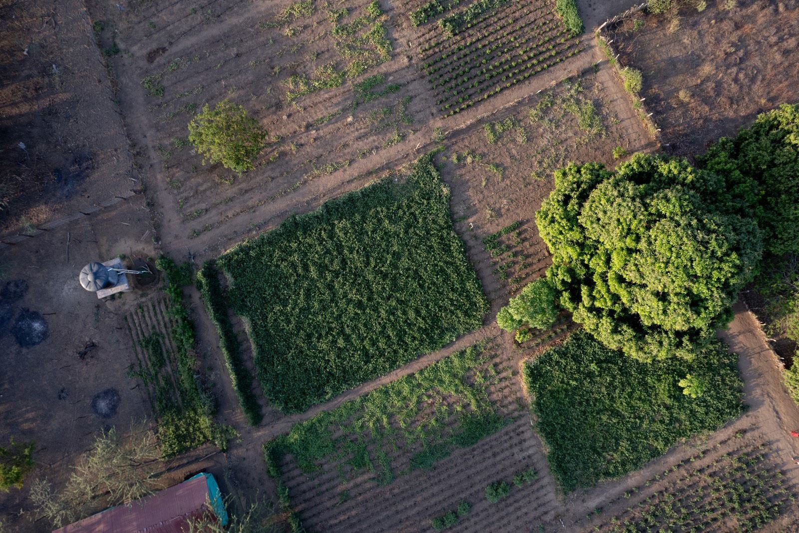 Vista aérea de las tierras de cultivo en la aldea de Ipasharrain, Colombia, con el apoyo de la Agencia de las Naciones Unidas para la Agricultura y la Alimentación (FAO) y sus socios.