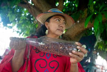 En el pueblo de Ipasharrain, en Colombia, Ana Griselda González explica cómo se puede tostar el grano guajiro.