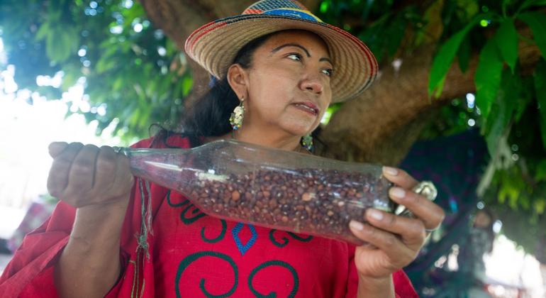 En el pueblo de Ipasharrain, en Colombia, Ana Griselda González explica cómo se puede tostar el grano guajiro.