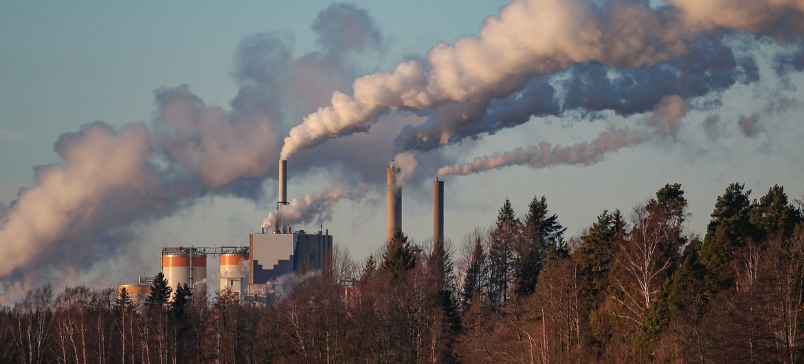 Los Gobiernos nacionales son los principales responsables de dirigir el cambio hacia la reducción de las emisiones nocivas.