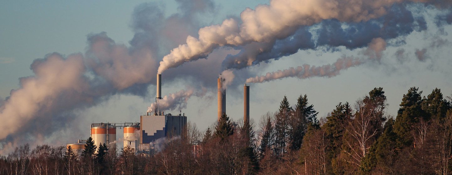 Los Gobiernos nacionales son los principales responsables de dirigir el cambio hacia la reducción de las emisiones nocivas.