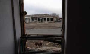 A village in the Donetsk region of Ukraine has been largely abandoned due to the ongoing conflict there. (file)