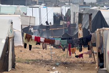 غزہ کے نقل مکانی پر مجبور لوگ رفح میں قائم عارضی پناہ گاہوں میں سر چھپائے ہوئے ہیں۔
