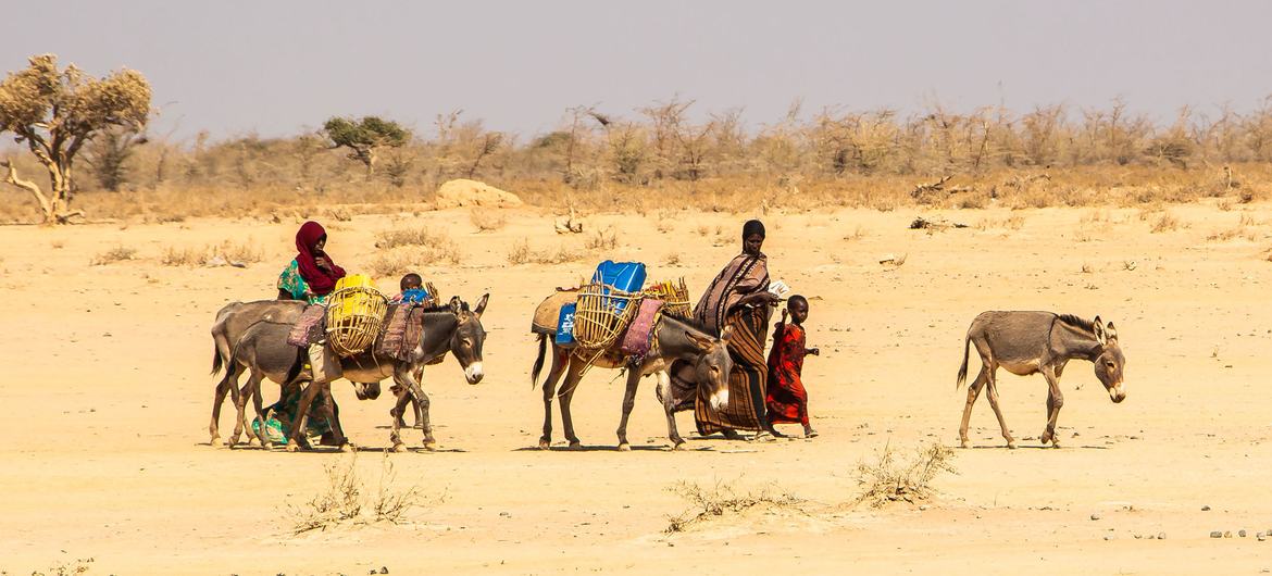 Les chocs climatiques et les conditions météorologiques extrêmes alimentent des déplacements massifs et augmentent les besoins humanitaires dans la Corne de l'Afrique.  