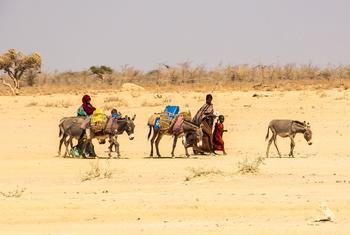Climate shocks and extreme weather are fuelling mass displacement and driving up humanitarian needs across the Horn of Africa.  