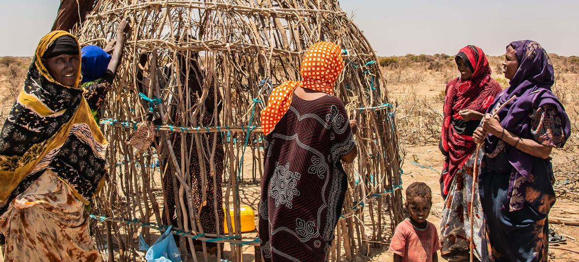A family in the Somali region of Ethiopia build a temporary shelter after fleeing their home.