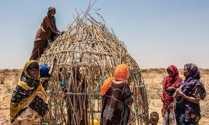 A family in the Somali region of Ethiopia build a temporary shelter after fleeing their home.