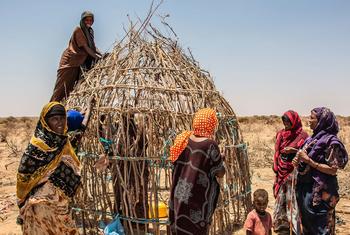 Une famille de la région de Somali, en Éthiopie, construit un abri temporaire après avoir fui sa maison.