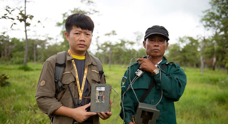 Phayvieng Vongkhamheng (izquierda), colocando cámaras trampa en 2016 para el proyecto SAFE apoyado por el PNUD.