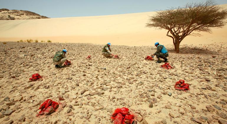 في موقع فريق ميجيك التابع لبعثة الأمم المتحدة للاستفتاء في الصحراء الغربية (مينورسو)، يقوم ضباط الاتصال العسكريون بوضع الحجارة كجزء من التدريب العملي.