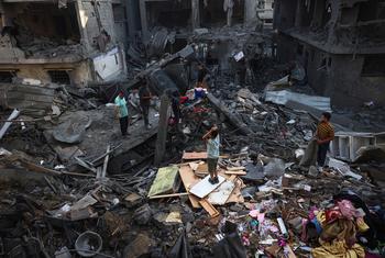 La prohibición de Acción Palestina en el Reino Unido confunde la libertad de expresión con actos de terrorismo – UN News