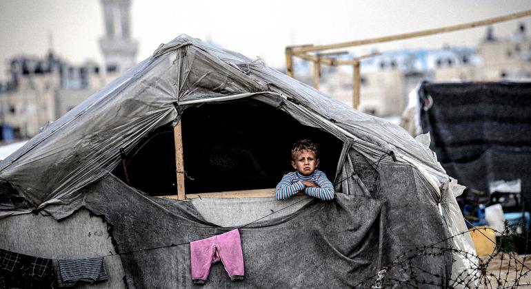 [UN News photo]