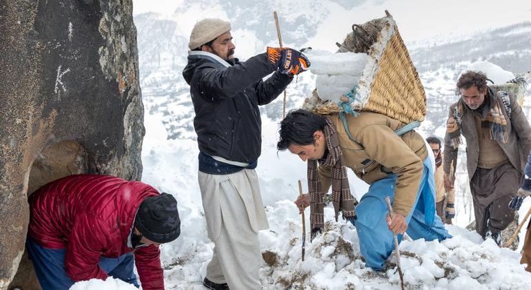 Zakir Hussain Zakir, a community leader from the Chunda Valley and a professor at the University of Baltistan in Skardu, demonstrates the glacier penning process. Zakir Hussain Zakir, a community leader from the Chunda Valley and a professor at the University of Baltistan in Skardu, demonstrates the glacier penning process.