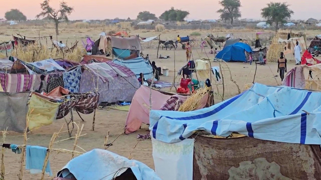 media:entermedia_image:689c39e3-038b-4149-beb4-ec4697d5975a