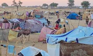 People who have fled fighting in El Fasher have set up camps in Tawila.