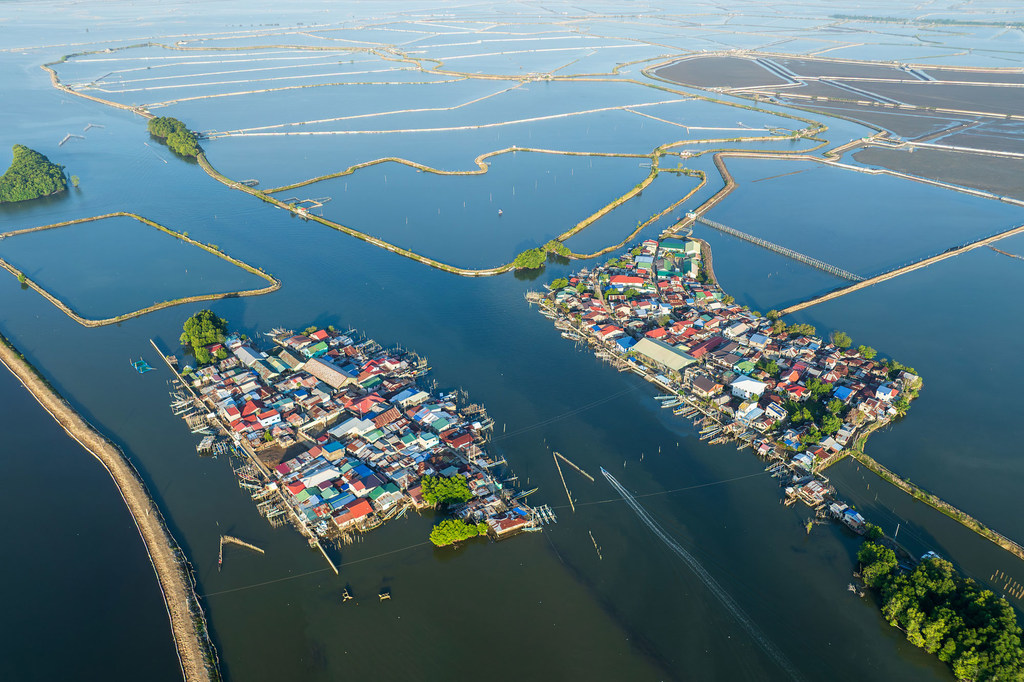 The Sasmuan Pampanga coastal wetlands