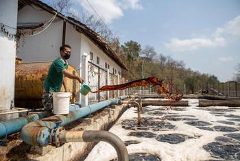 Faith-based financing has supported projects to clean up sanitation and landfill services in Yogyakarta, Indonesia.