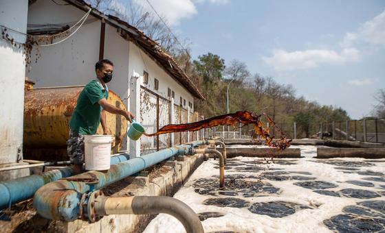Faith in finance: Indonesias innovative path to sustainable development
