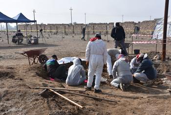 Des enquêteurs en combinaisons et uniformes de protection fouillent une fosse commune sur une scène de crime à Heet, dans la province d'Anbar, en Irak.