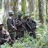 Brazilian peacekeepers train the soldiers serving with the Democratic Republic of the Congo (file).