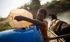A boy collects water from a rehabilitated catchment basin in Sudan’s southern White Nile state.