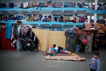 ग़ाज़ा युद्ध के कारण बेघर हुए लाखों लोगों ने, UNRWA द्वारा संचालित स्कूलों में पनाह ली है.
